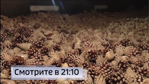 Смотрите сегодня в вечернем выпуске новостей