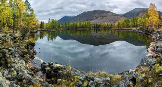 ���������� ���������������� ������������� �������������� ��� �� ���������� ������������ ������