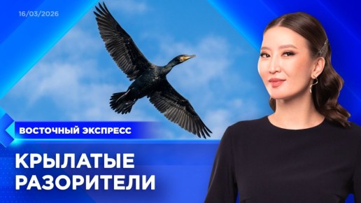 Пропустили эфир? Посмотреть выпуски «Восточного экспресса» вы всегда можете на удобной для вас платформе: