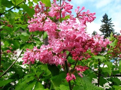 ������: 20 ������������ ������ � ������ ����