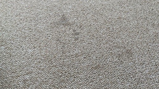 Эффективная сухая чистка ковров: простые советы