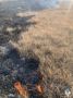 В Улан-Удэ сгорели 8 гектаров травы