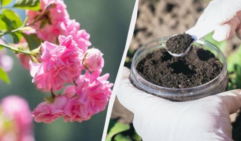 ��� ��������� ���������� ����, ����� ��� ����� ���� � ����� ������