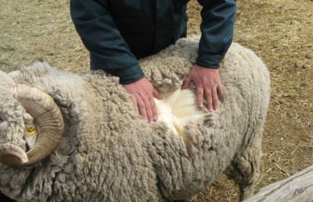 ���������� ������� ������� ����� �������� ����