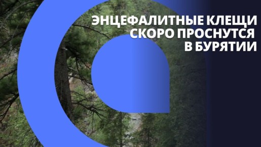 ������ ���� �����������. ������������ ����� ����� ��������� � �������