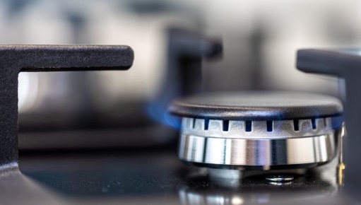 ����� ���� ������ ������� �����: ������ ������ ��� ������������