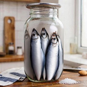 Солим на дому: как приготовить вкусную скумбрию по домашнему рецепту