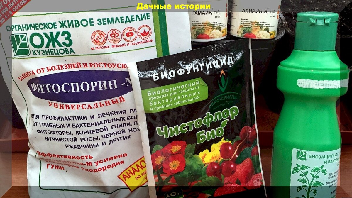 Биопрепараты: что нужно знать любителям садоводства