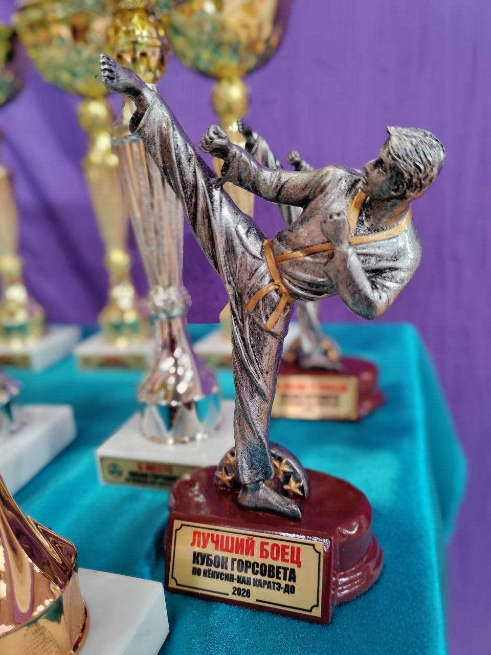 Депутат Улан-Удэнского горсовета поздравил победителей ежегодного турнира по кёкусинкан каратэ-до Депутат Улан-Удэнского горсовета поздравил победителей ежегодного турнира по кёкусинкан каратэ-до