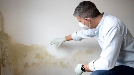 Плесень угрожает здоровью хабаровчан