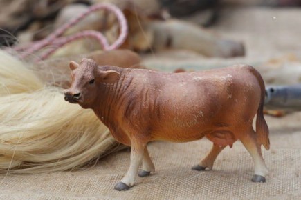 � ������ ������� ��������� � ������ ��-�� ����������� ��������