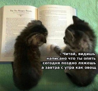 Доброе утро! Желаем продуктивной недели)