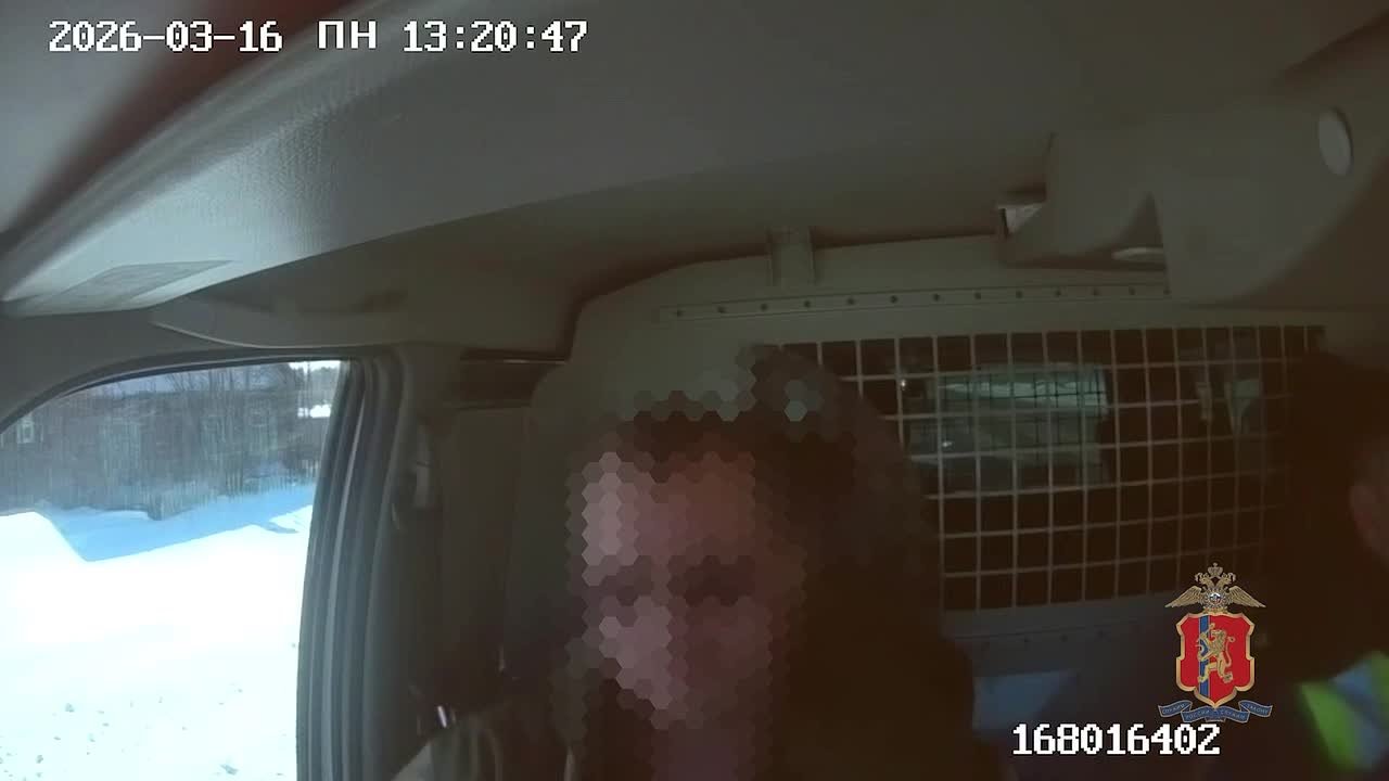 Полицейские спасли четверых котят, найденных в машине пьяного бесправника