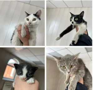 � �������� � ����-��� ������� ������������ ������� ������ �����