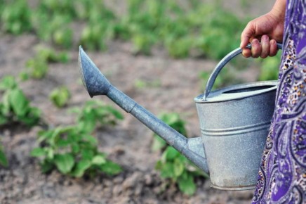 ������ � ����: ������������ ������� ������ ��� �������� ��������