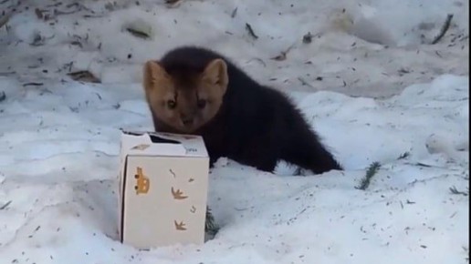 ������ �� ������� ������� � �������� ��������