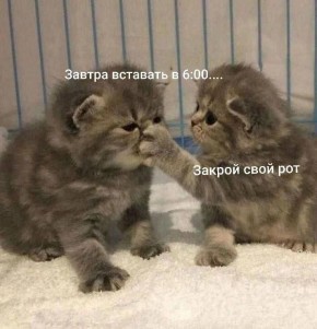 Доброе утро! В столице Бурятии обещают до +8, сегодня ходим без колготок и подштанников?