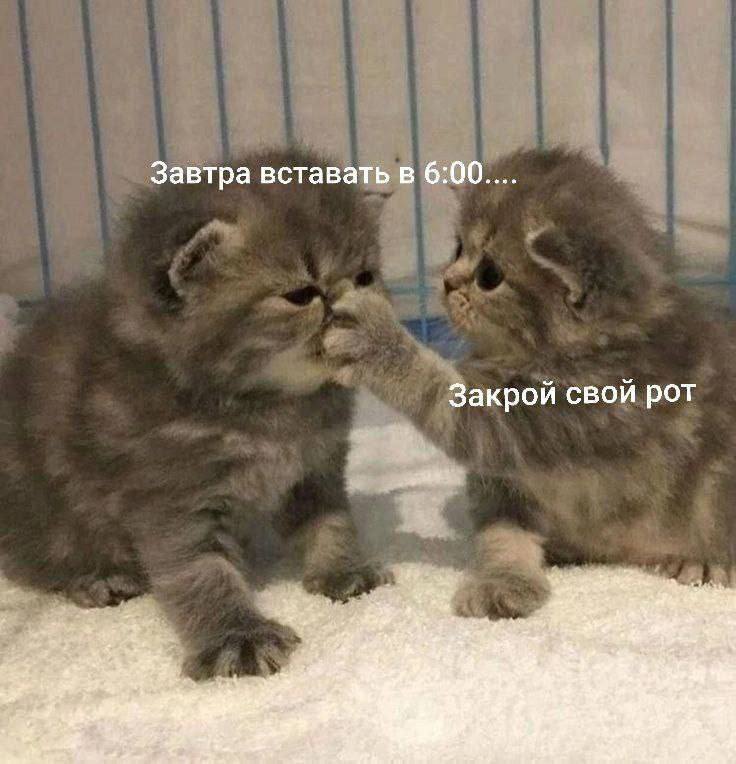 Доброе утро! В столице Бурятии обещают до +8, сегодня ходим без колготок и подштанников?