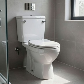 Почему стоит использовать соль в вашем унитазе