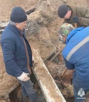 �� ������ ������� 195 ����� �������� ��� ����� � ������� ����