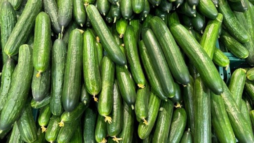 ������� ������: ����������� ������������ ��� �������� �� ������ ������������