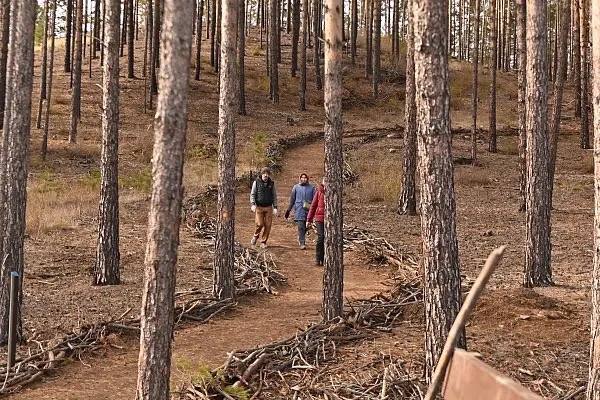 Улан-Удэ формирует свой облик: итоги 2025 года и новые планы для туристов