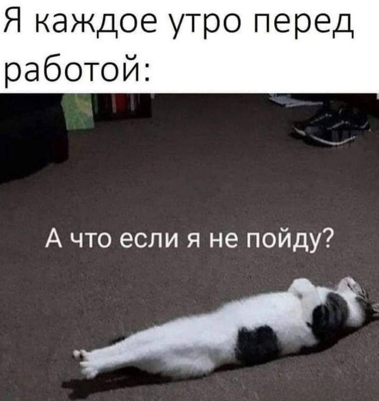 Доброе утро! Заканчиваем рабочую неделю с хорошим настроением + сегодня будет теплее, чем вчера)