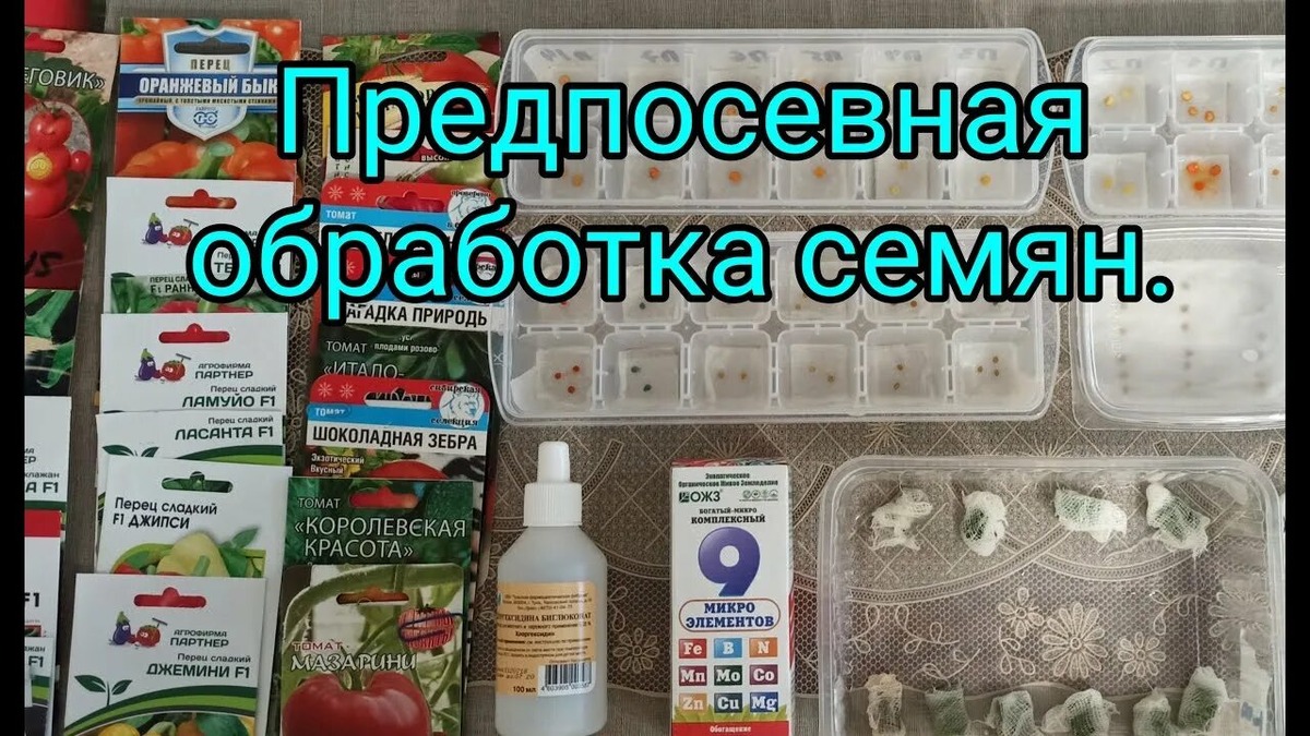 Как правильно обработать семена: эффективные методы для каждого садовода