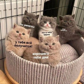 Всем прекрасной субботы!. По данным Бурятского гидрометцентра, 28 марта в большинстве районов республики небольшой снег