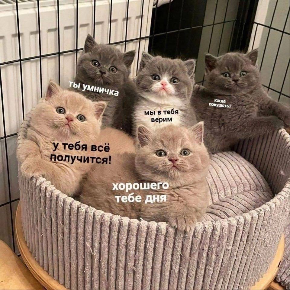 Всем прекрасной субботы!. По данным Бурятского гидрометцентра, 28 марта в большинстве районов республики небольшой снег