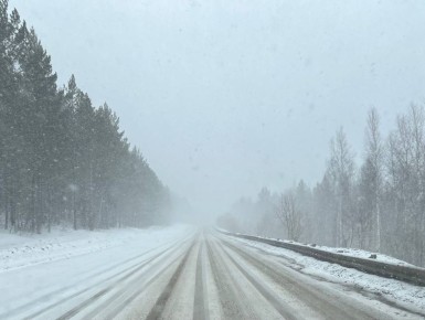 ����� ������� �������� � ������� �����