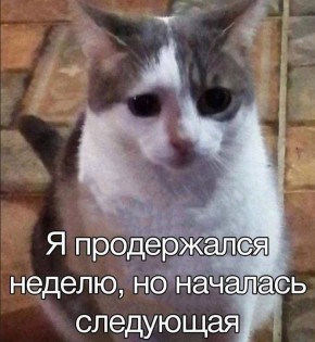 ������ ����! � ������� ������� ������)