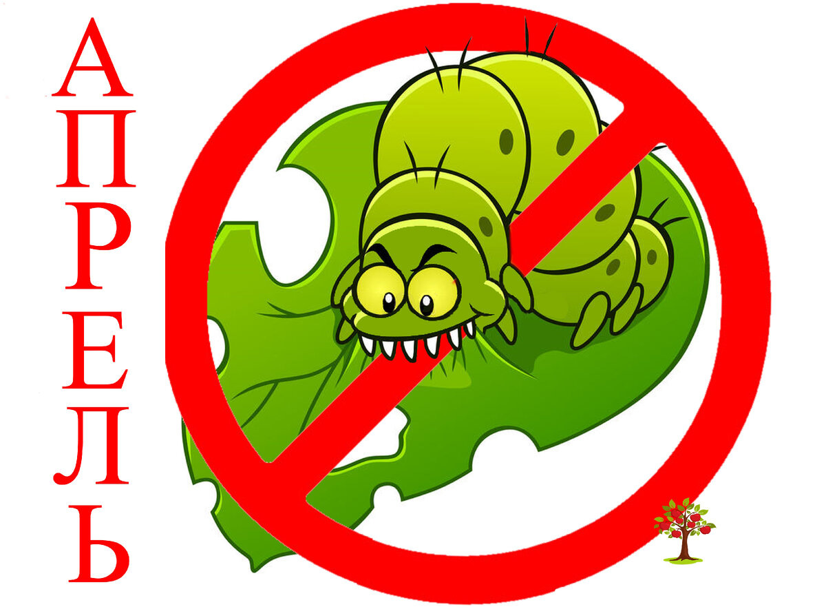 Весенние обработки сада: календарь и советы для садоводов