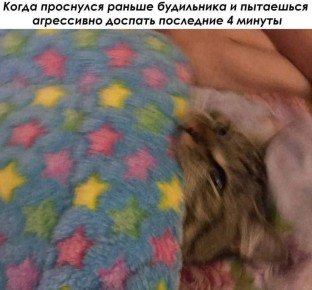 ������ ����!) ������� ����� ��������� ����