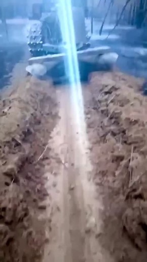 ��� ���� ������ ����� ������������ � �������