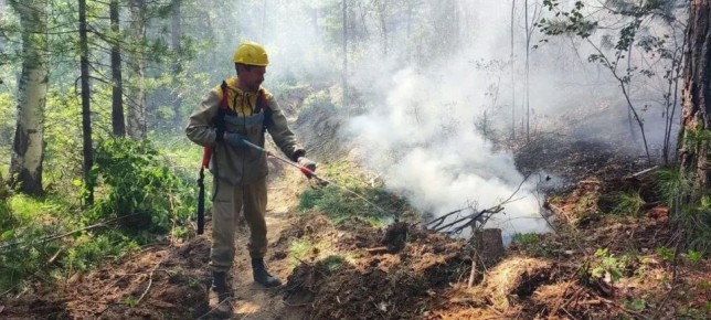 � ������� � 1 ������ ������ ������ ��������������� �����