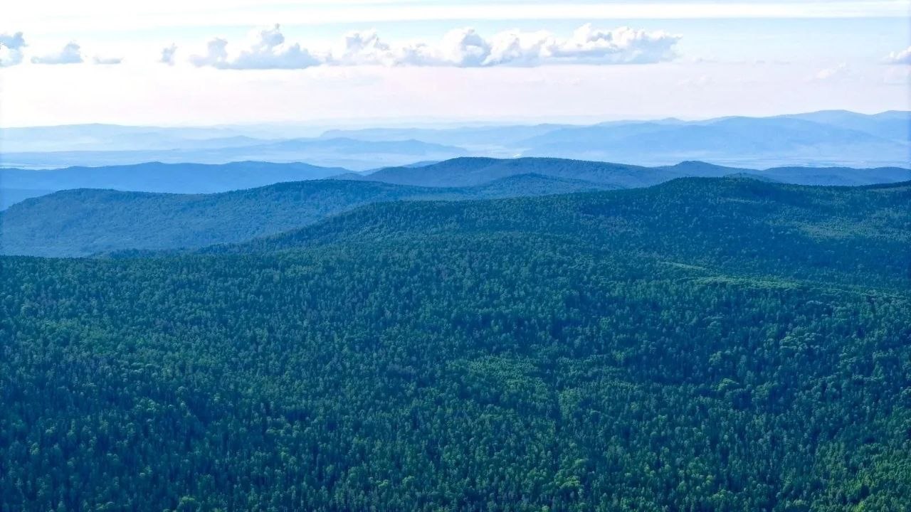 В Бурятии с 1 апреля введут особый противопожарный режим В Бурятии с 1 апреля введут особый противопожарный режим