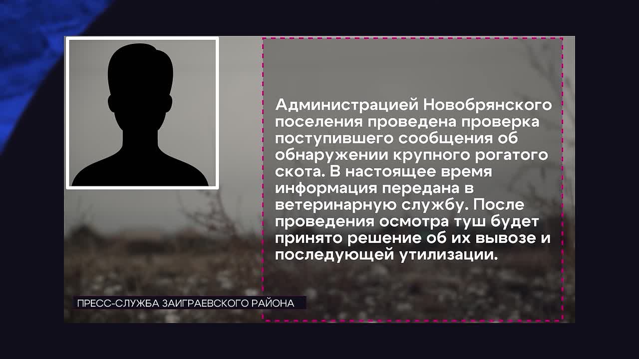 В Бурятии нашли стихийный скотомогильник