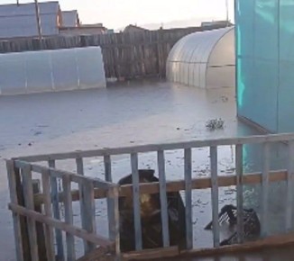 � ������� ������������ �������� ����������� ����