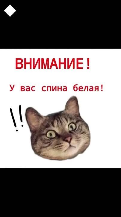 � 1 ������, ����������!. �������� ��� ������� � �������� ����������! ������������� �� ������� ���� � �������� ������ ������� ����� - ���, � ��� ����� �����! ����� ���� �� � MAX