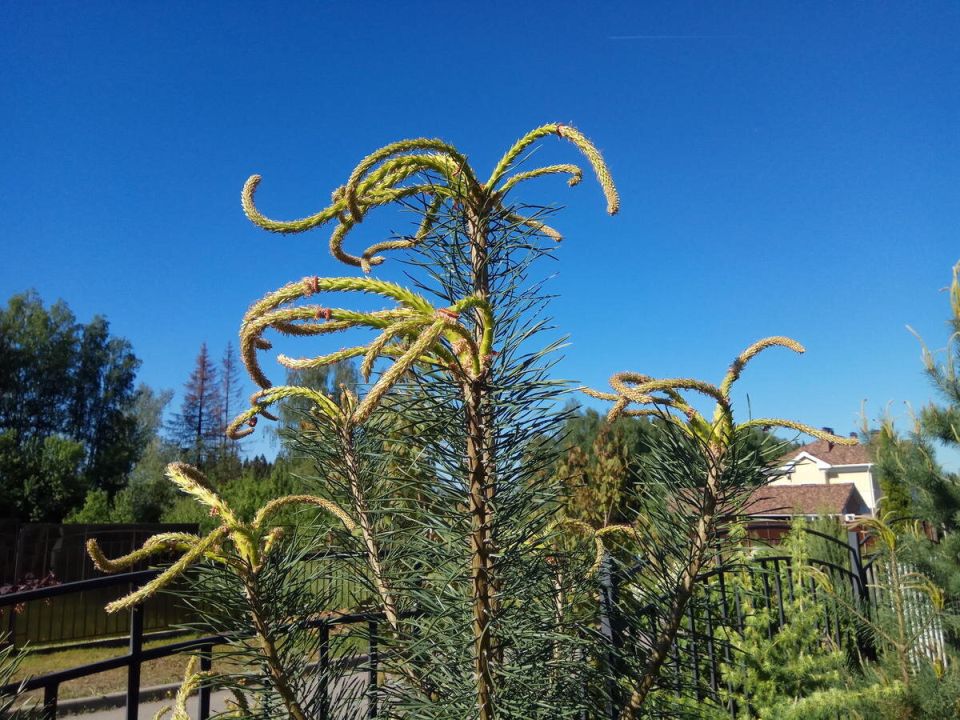 �������� ������: ��� �������� ����� �� ������� �������