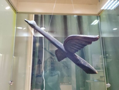 Иранский конфликт может нанести серьёзный ущерб популяции пернатых Бурятии