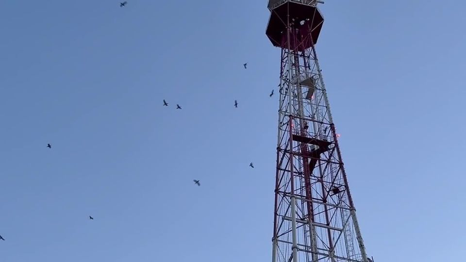 ����������� �����: ���� �������� ��������� ��������� � ����-���