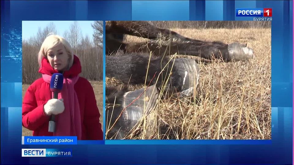 ��������� ��������� ������ �� �������� ���� ������������� � �������