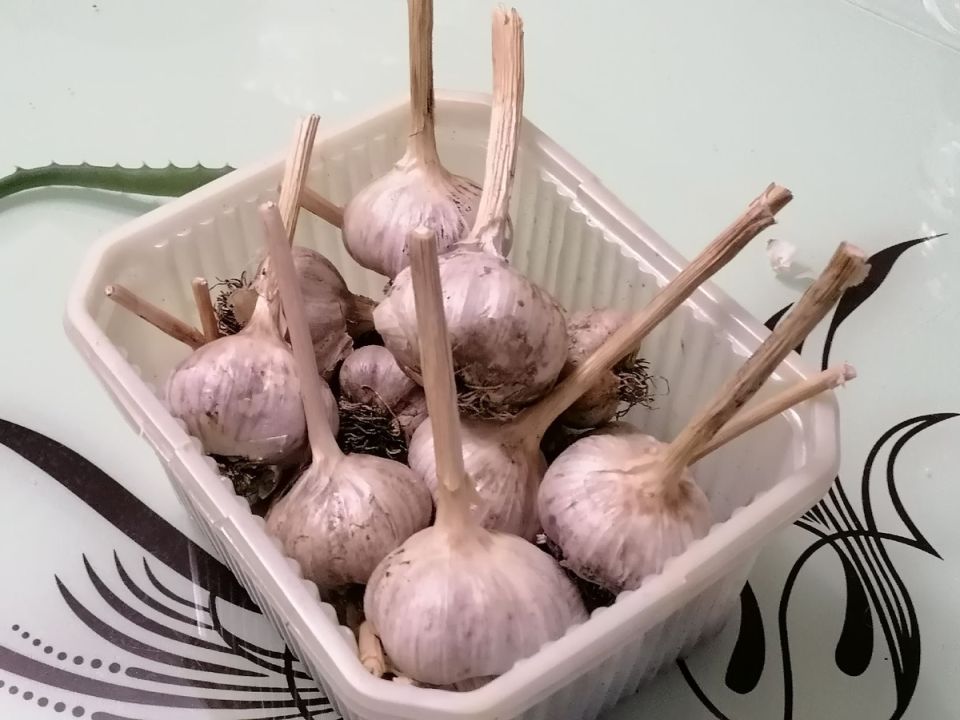 ��� ���������� ������ � �� ���������� � ������?