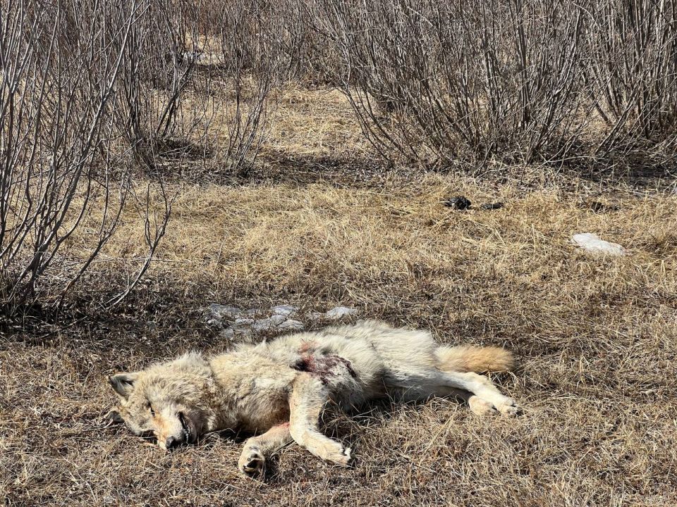 ������� �� ������������ ������ ������� ���� ����� ������� �� ������������