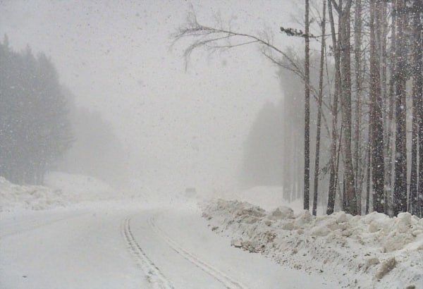 � ������� ������ 20-��������� ������ � ���������� ������ �����