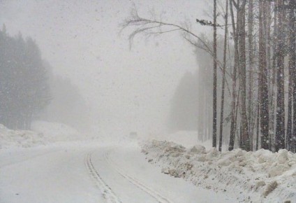 � ������� ������ 20-��������� ������ � ���������� ������ �����