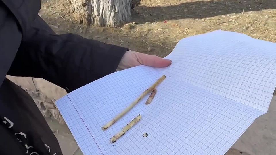 � 360-����� ����-��� ������� �������� �����