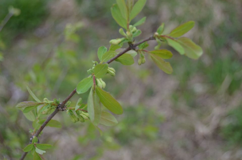 ��� ��������� ������������� ��������� � ������ ��� ������������� ������